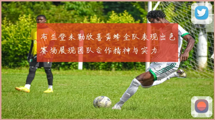 布兰登米勒欣喜黄蜂全队表现出色赛场展现团队合作精神与实力