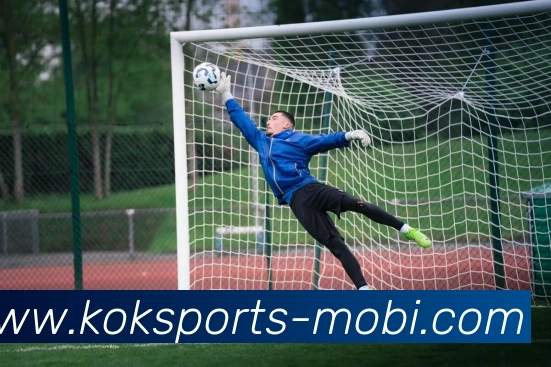 KOK体育平台生态图