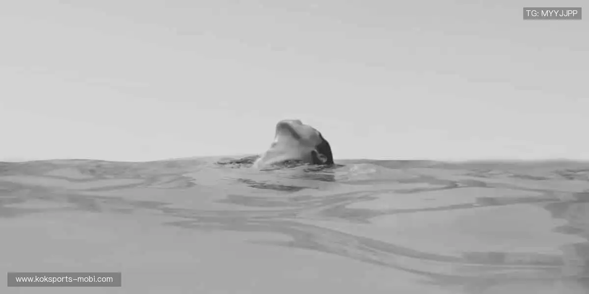 🏀【空中对决】热血扣篮,点燃你的篮球魂!